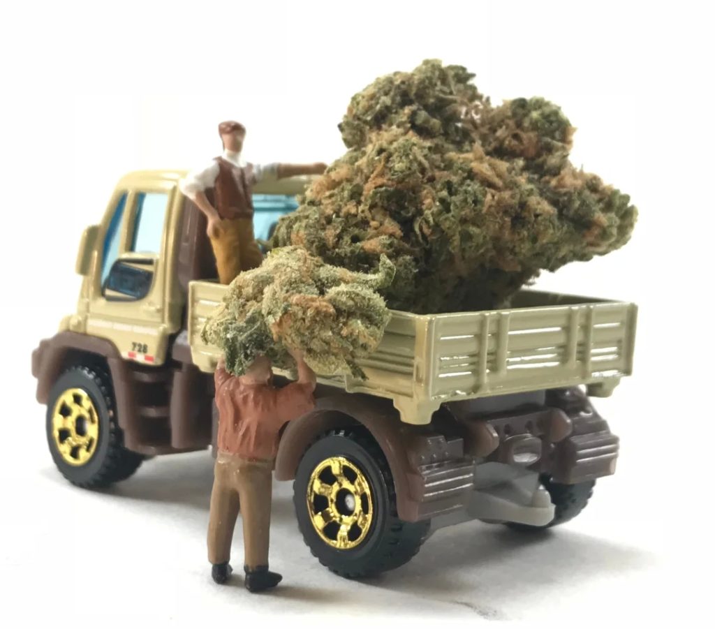 a-guide-to-finding-the-best-weed-delivery-service-for-your-needs-the